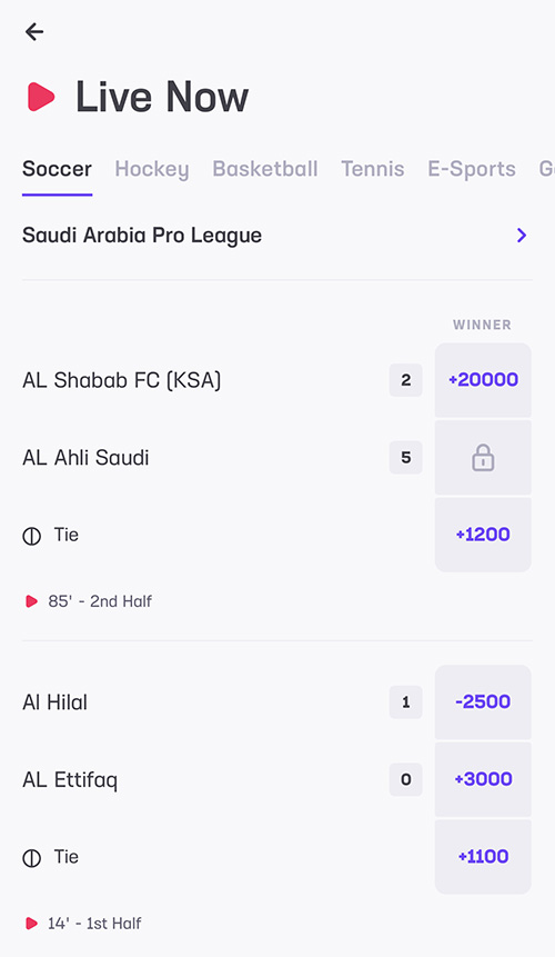 live betting on hard rock bet