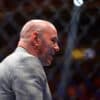 Dana White's Contender Series Week 3