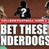 KIV Week 5 Dogs